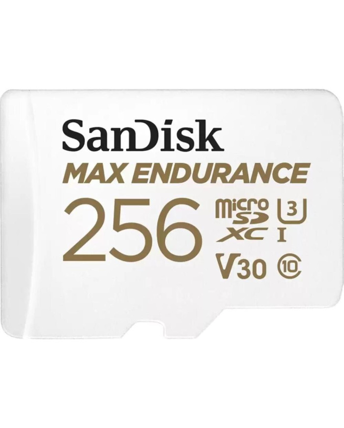 Sandisk By Western Digital MEMORY MICRO SDXC 256GB UHS-3/SDSQQVR-256G-GN6IA SANDISK